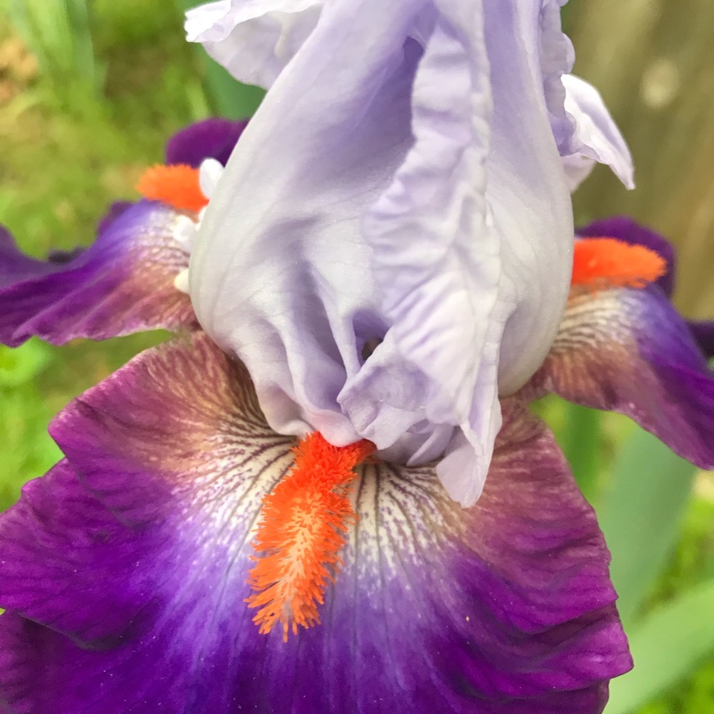 Meet your Posher, A.